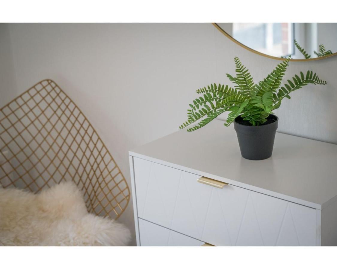 Central Belfast Apartments Chic Luxe R&R エクステリア 写真